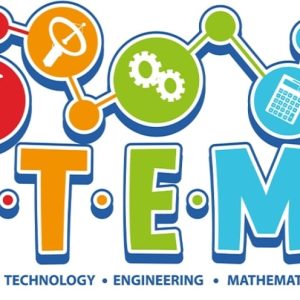 Stem Activity (Magnetism)